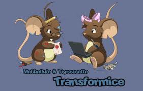 transformice